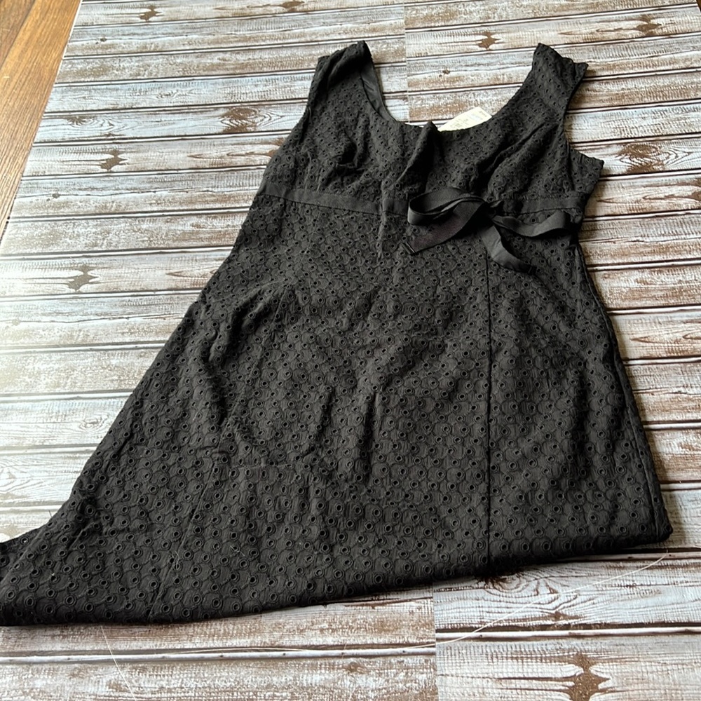 NWT Ann Taylor Dress